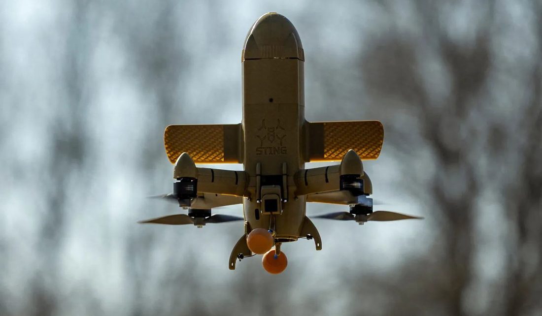 A Wild Hornets Sting interceptor in flight